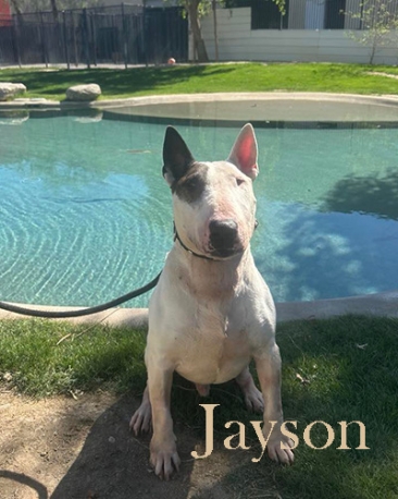Jayson